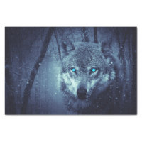 Magical Wild Wolf with Amazing Blue Eyes