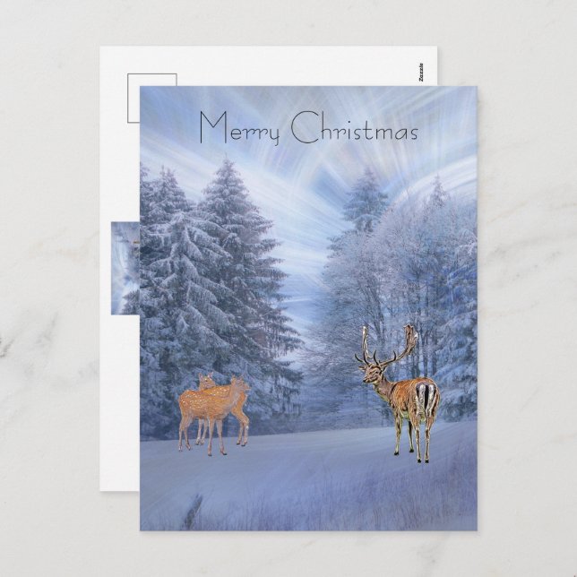 Magical winter forest with deer, christmas  holida holiday postcard (Front/Back)