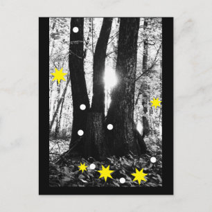 Magical Winter Tree Postcard