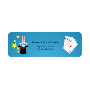 Magician Boy Show Birthday Party