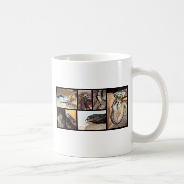 Magies Reptiles Coffee Mug (Right)