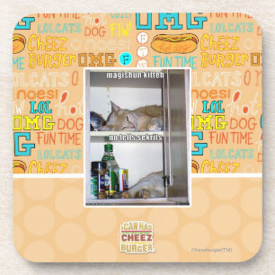 Magishun Kitteh Coaster