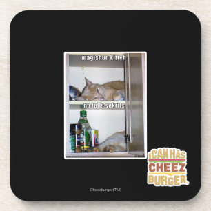Magishun Kitteh Coaster