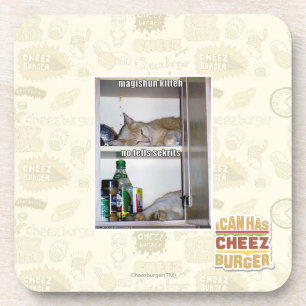 Magishun Kitteh Coaster