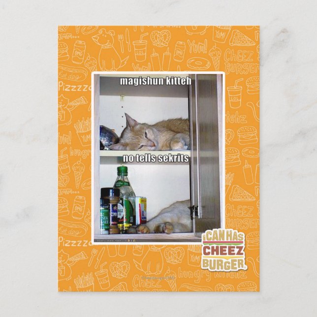 Magishun Kitteh Postcard (Front)