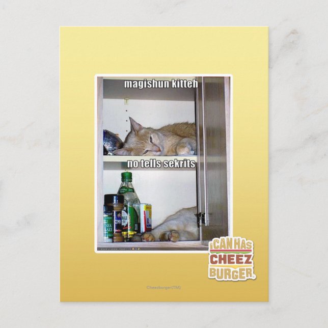 Magishun Kitteh Postcard (Front)