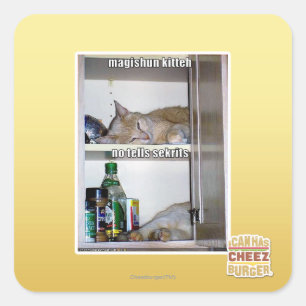 Magishun Kitteh Square Sticker