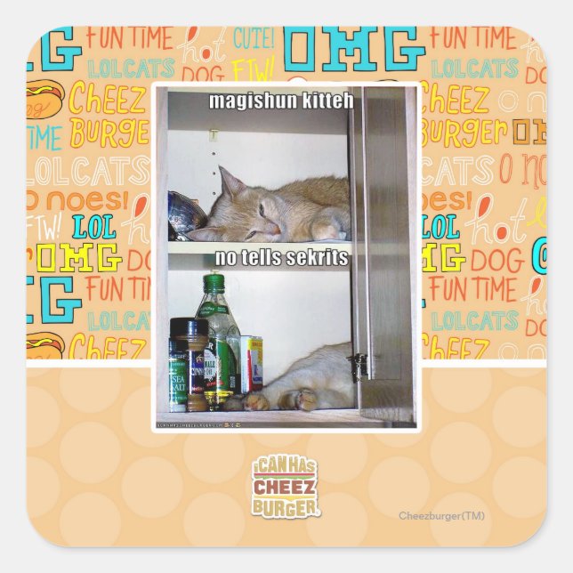 Magishun Kitteh Square Sticker (Front)