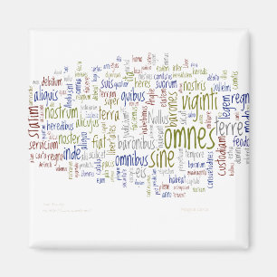 Magna Carta (Latin) Magnet