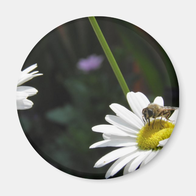 Magneet Margriet Magnet (Front)