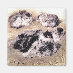 Magnet: A Study of Cats Magnet