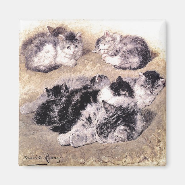 Magnet: A Study of Cats Magnet (Front)