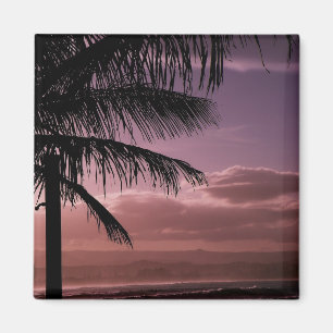 Magnet Afternoon Glow Coolangatta Australia