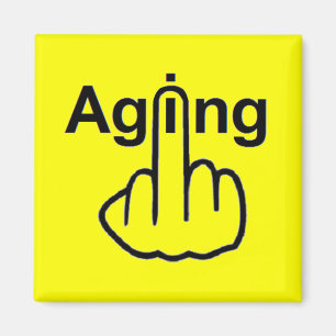 Magnet Aging Flip