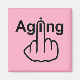 Magnet Aging Flip