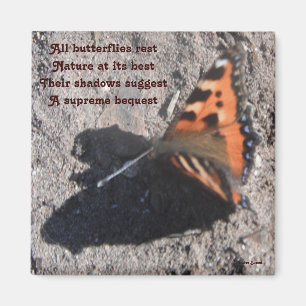 Magnet All Butterflies Rest Poem By Ladee Basset