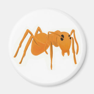 Magnet Ant