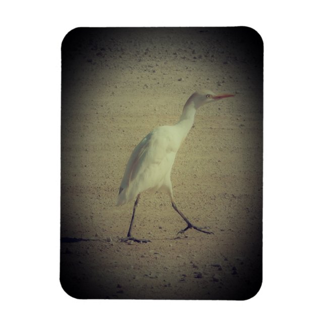 MAGNET ART&DESIGN DECORATION STYLES (Vertical)