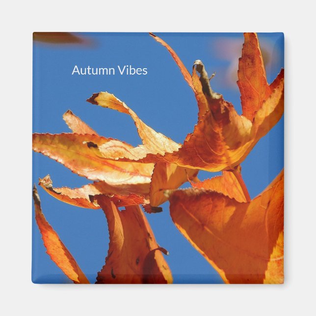 Magnet "Autumn Leaves on Blue Sky" (Front)