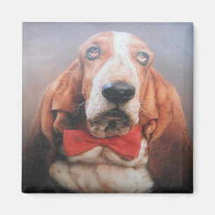 Magnet Basset Hound Red Bow Tie