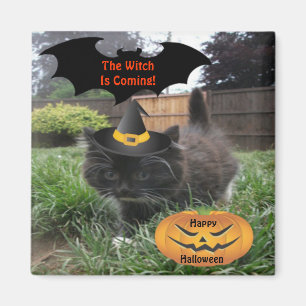 Magnet Black Cat The Witch Is Coming