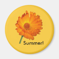 Magnet - Calendula on Stem