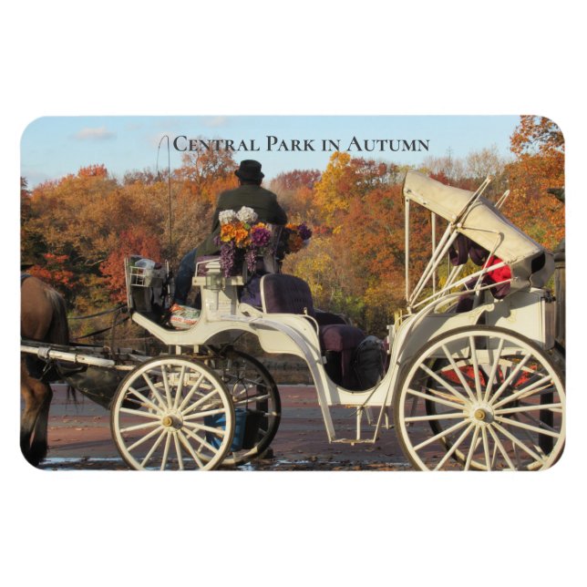 Magnet -- Carriage in NYC Central Park (Horizontal)