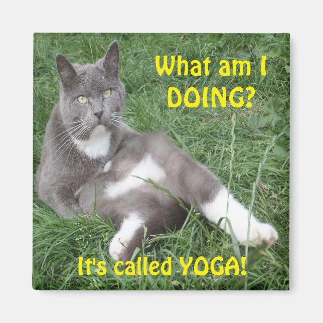 Magnet Cat Yoga (Front)