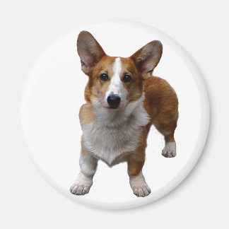 MAGNET: Corgie Dog Magnet