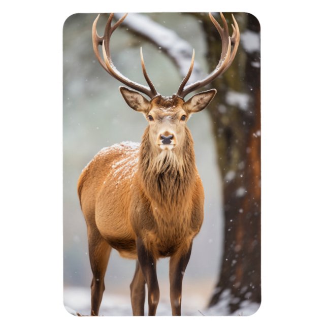 Magnet-Elk Magnet (Vertical)