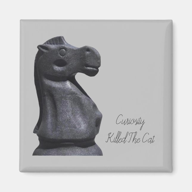 Magnet Expression "Curiosity Killed the Cat" (Front)