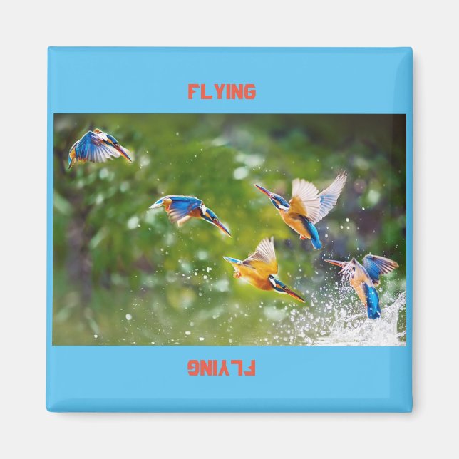 Magnet Flying (Front)