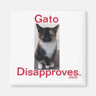 Magnet, Gato Disapproves Magnet