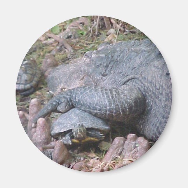 Magnet "Gator Hugs" (Front)