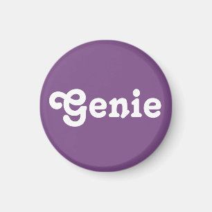 Magnet Genie