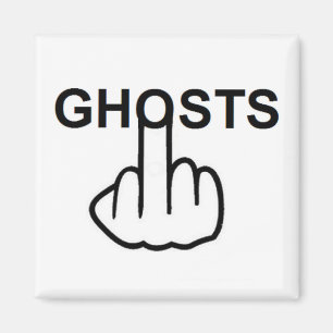 Magnet Ghost Flip