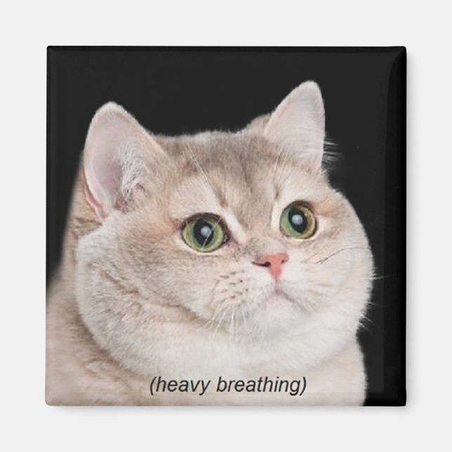 Magnet Heavy Breathing Cat Meme (Front)