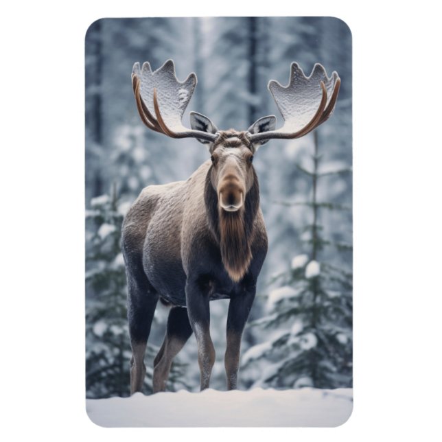 Magnet-Moose Magnet (Vertical)