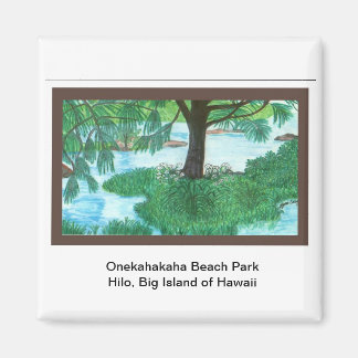 Magnet-Onekahakaha Beach Park, Hilo Magnet