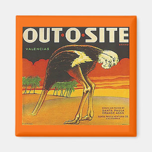 MAGNET ~ OSTRICH ~ OUT-O-SITE Orange VINTAGE LABEL