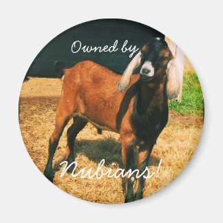 Magnet - Owned by Nubians!