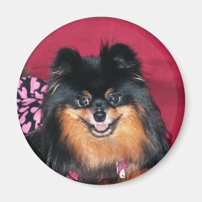 magnet peb (Front)