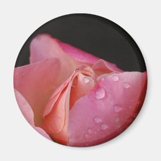 Magnet - Pink Rose Bud