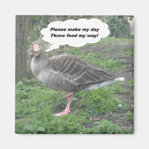 Magnet Poem Duck Quote Ladee Basset