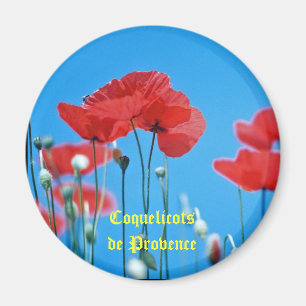 Magnet poppy