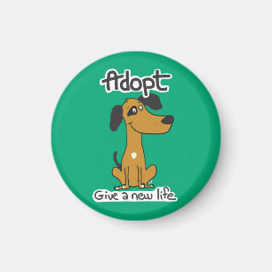 Magnet Roger, adopted