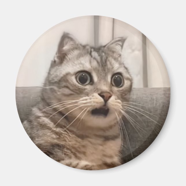 Magnet Shocked Cat Meme (Front)