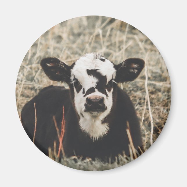 Magnet - Spring Calf (Front)