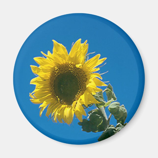 Magnet - Sunflower (Front)