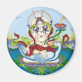 MAGNET Tara Protecting against Poisons